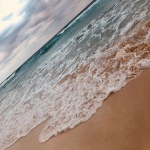 Meet your Posher, Priscilla